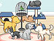 Pet Daycare Decoration