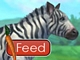 Feed Zebra