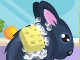 Chinchilla Pet Care