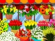 CDE Flower Shop