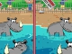 Zoo Animals Differences