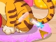 Baby Tiger Vet Care