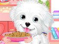 Fluffy Puppy Pet Spa and Care