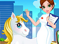 Pony Vet Doctor