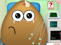 Pou in the Ambulance