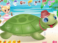 Turtle Pet